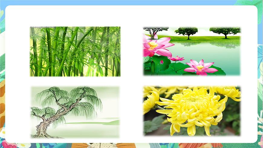 【核心素養(yǎng)目標(biāo)新課標(biāo)】教科版科學(xué)一上1.2 《觀察一顆植物 》 教學(xué)課件第5頁