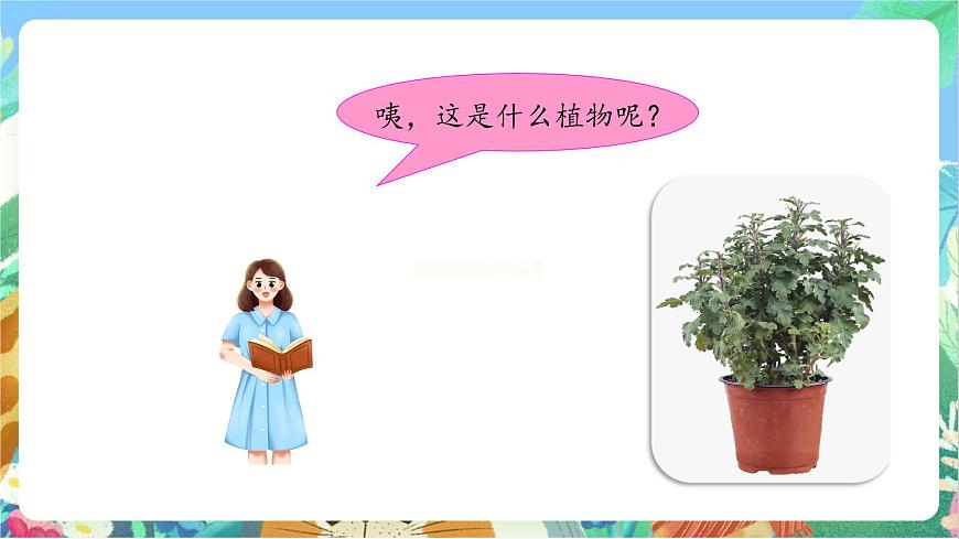 【核心素養(yǎng)目標(biāo)新課標(biāo)】教科版科學(xué)一上1.2 《觀察一顆植物 》 教學(xué)課件第6頁