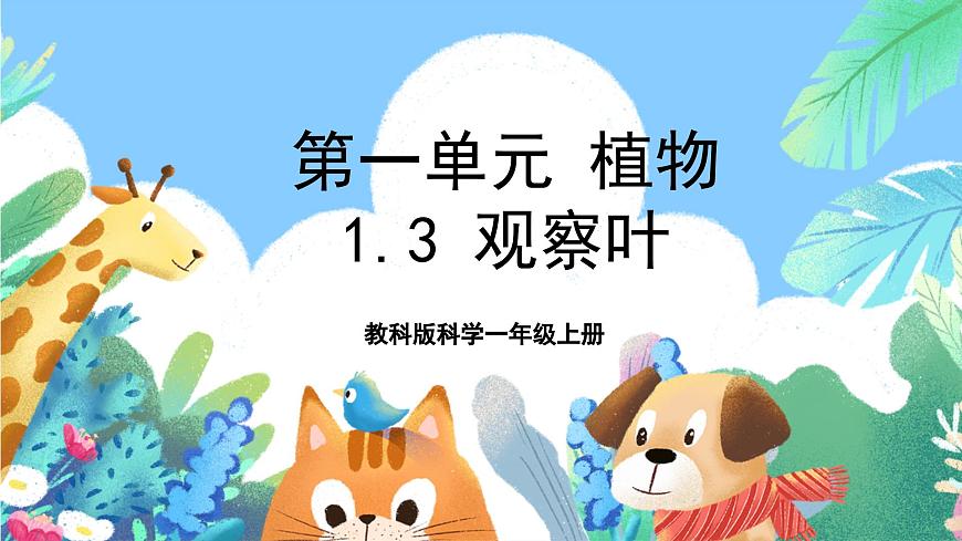 【核心素養(yǎng)目標新課標】教科版科學(xué)一上1.3《 觀察葉》教學(xué)課件第1頁