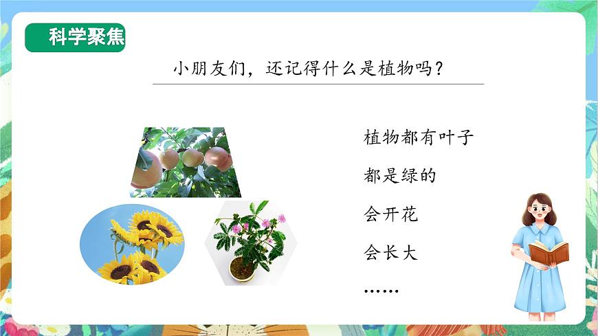 【核心素養(yǎng)目標新課標】教科版科學(xué)一上1.3《 觀察葉》教學(xué)課件第3頁