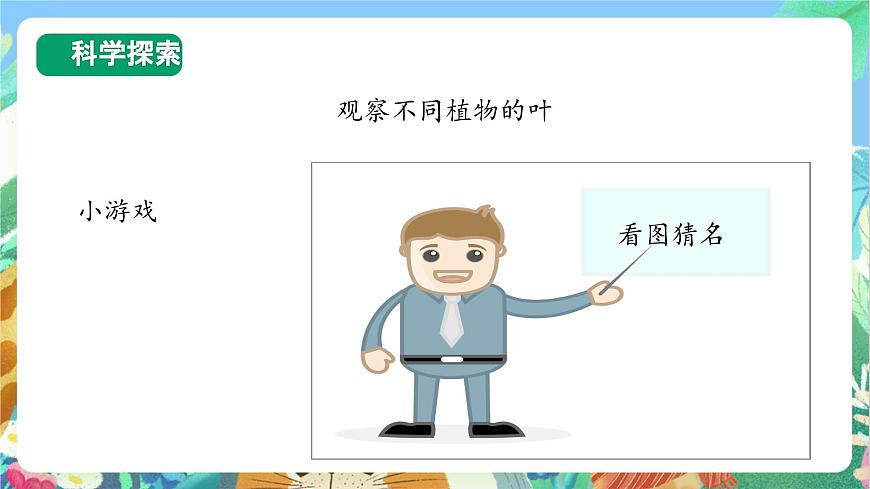 【核心素養(yǎng)目標新課標】教科版科學(xué)一上1.3《 觀察葉》教學(xué)課件第5頁