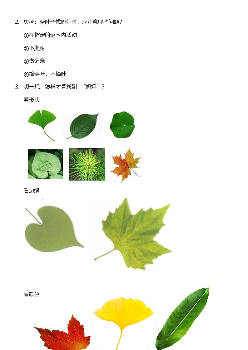 【新课标】教科版科学一上1.4 《这是谁的叶 》课件+教案02