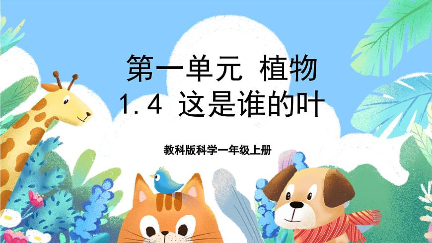 【核心素養(yǎng)目標(biāo)新課標(biāo)】教科版科學(xué)一上1.4 《這是誰的葉 》  教學(xué)課件第1頁