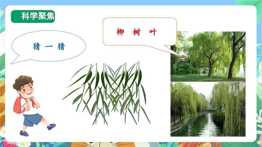 【核心素養(yǎng)目標(biāo)新課標(biāo)】教科版科學(xué)一上1.4 《這是誰的葉 》  教學(xué)課件第3頁