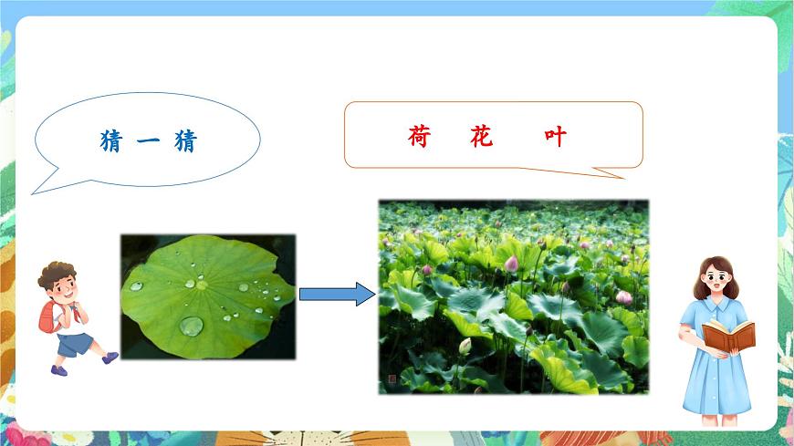 【核心素養(yǎng)目標(biāo)新課標(biāo)】教科版科學(xué)一上1.4 《這是誰的葉 》  教學(xué)課件第4頁