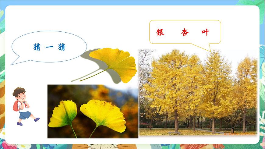 【核心素養(yǎng)目標(biāo)新課標(biāo)】教科版科學(xué)一上1.4 《這是誰的葉 》  教學(xué)課件第5頁