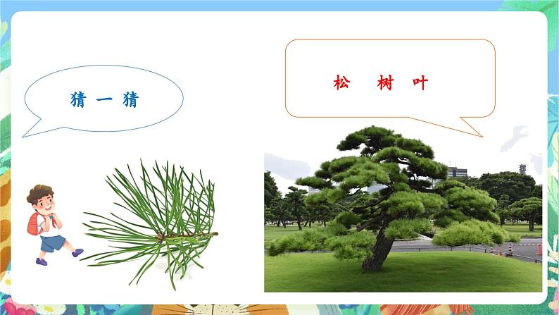 【新课标】教科版科学一上1.4 《这是谁的叶 》课件+教案08