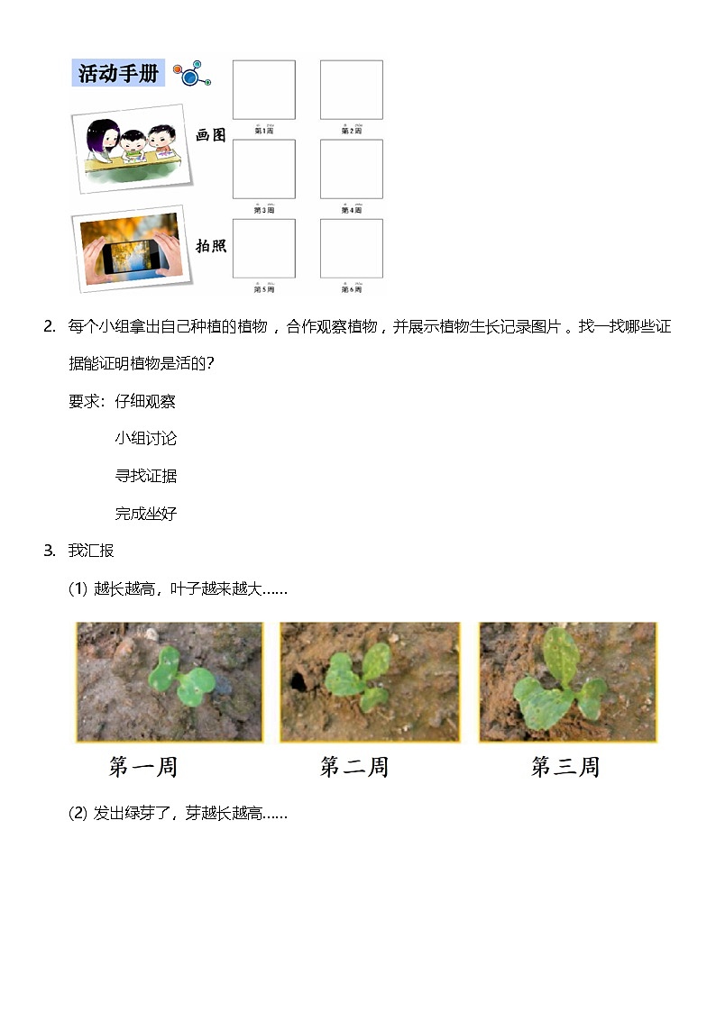【新课标】教科版科学一上1.5《 植物是“活”的吗》课件+教案02