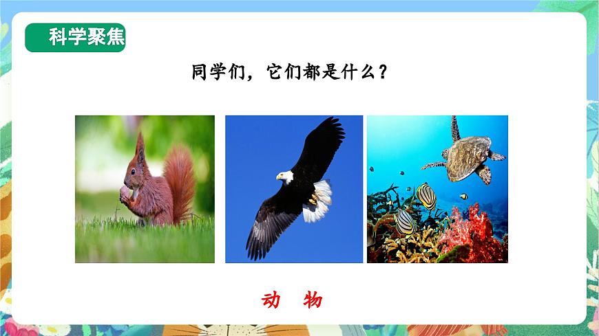 【核心素養(yǎng)目標(biāo)新課標(biāo)】教科版科學(xué)一上1.5《 植物是“活”的嗎》 教學(xué)課件第3頁