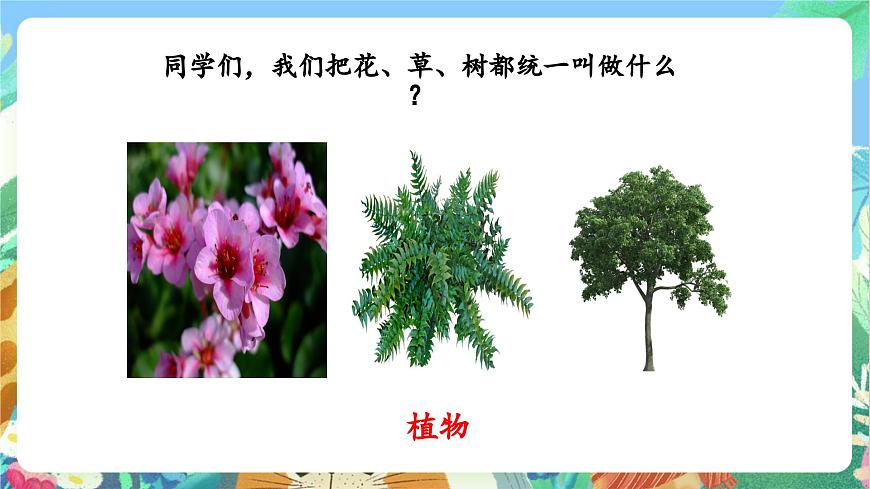 【核心素養(yǎng)目標(biāo)新課標(biāo)】教科版科學(xué)一上1.5《 植物是“活”的嗎》 教學(xué)課件第4頁