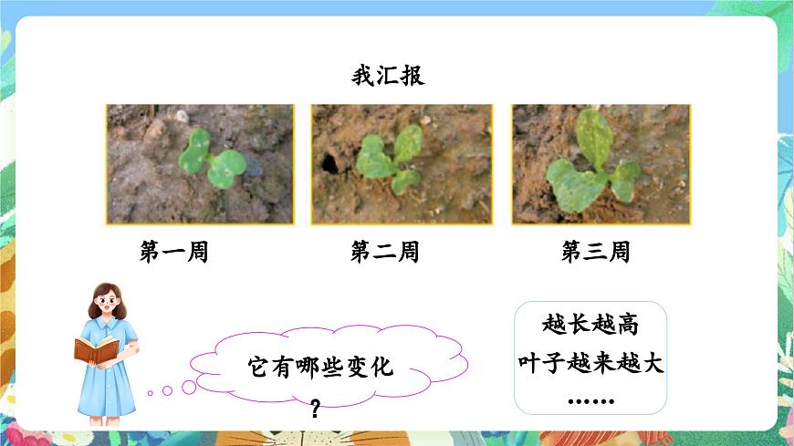 【核心素養(yǎng)目標(biāo)新課標(biāo)】教科版科學(xué)一上1.5《 植物是“活”的嗎》 教學(xué)課件第8頁