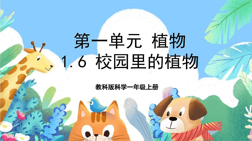 【核心素養(yǎng)目標(biāo)新課標(biāo)】教科版科學(xué)一上1.6 《校園里的植物》 教學(xué)課件第1頁(yè)