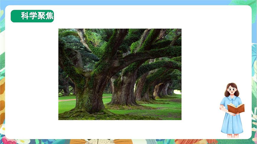 【核心素養(yǎng)目標新課標】教科版科學一上教科版科學一上2.3 《用手來測量》  課件第3頁