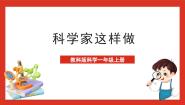 小学科学教科版 (2017)一年级上册1.我们知道的植物一等奖课件ppt