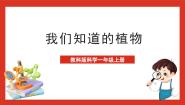 教科版 (2017)一年级上册1.我们知道的植物完美版ppt课件