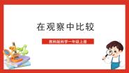 小学科学教科版 (2017)一年级上册1.在观察中比较优秀课件ppt