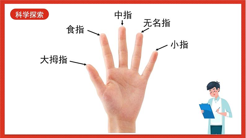 教科版科学一上2.3《用手来测量》 课件第4页