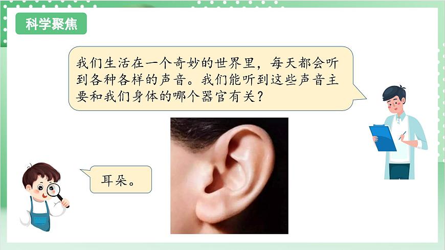 教科版科學(xué)四年級(jí)上冊(cè)1.4 《我們是怎樣聽到聲音的》 教學(xué)課件第3頁(yè)