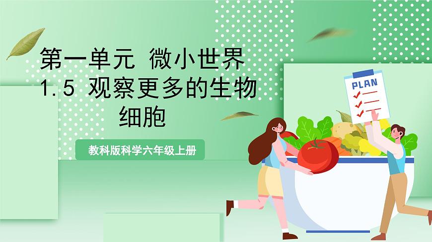 教科版科學(xué)六年級上冊1.5 《觀察更多的生物細胞》  教學(xué)課件第1頁