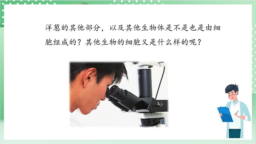 教科版科學(xué)六年級上冊1.5 《觀察更多的生物細胞》  教學(xué)課件第4頁