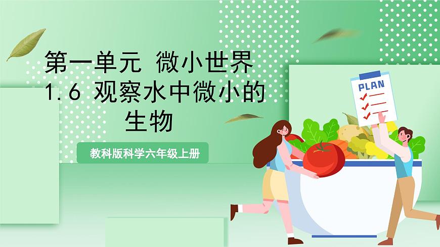 教科版科學(xué)六年級(jí)上冊(cè)1.6 《觀察水中微小的生物》  教學(xué)課件第1頁(yè)