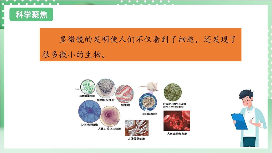 教科版科學(xué)六年級(jí)上冊(cè)1.6 《觀察水中微小的生物》  教學(xué)課件第3頁(yè)