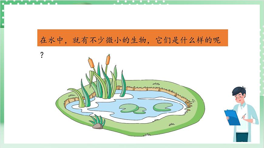 教科版科學(xué)六年級(jí)上冊(cè)1.6 《觀察水中微小的生物》  教學(xué)課件第4頁(yè)