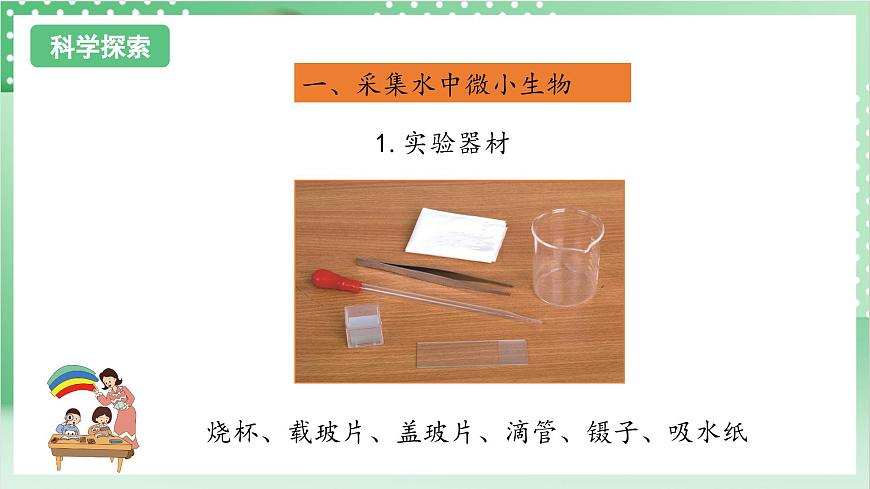 教科版科學(xué)六年級(jí)上冊(cè)1.6 《觀察水中微小的生物》  教學(xué)課件第6頁(yè)