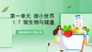 教科版 (2017)六年级上册7.微生物与健康完美版教学ppt课件