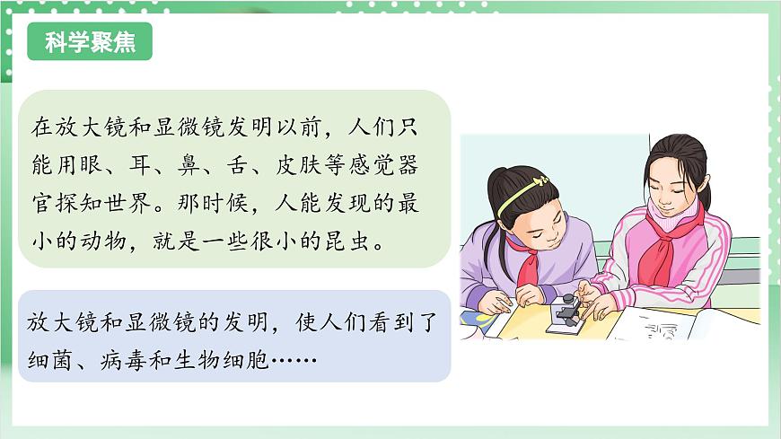 教科版科學(xué)六年級(jí)上冊(cè)1.7 《微生物與健康》  教學(xué)課件第3頁(yè)