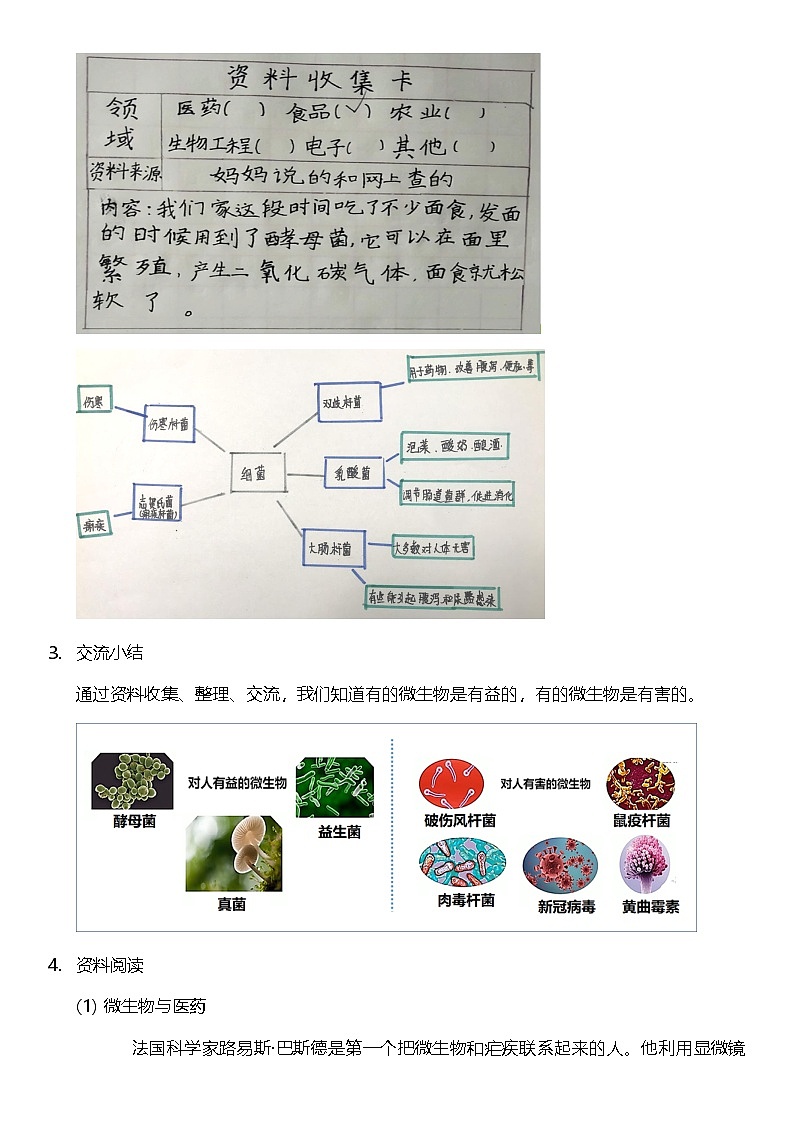 【新课标】教科版科学六年级上册1.7 《微生物与健康》 教学课件+教案+素材03