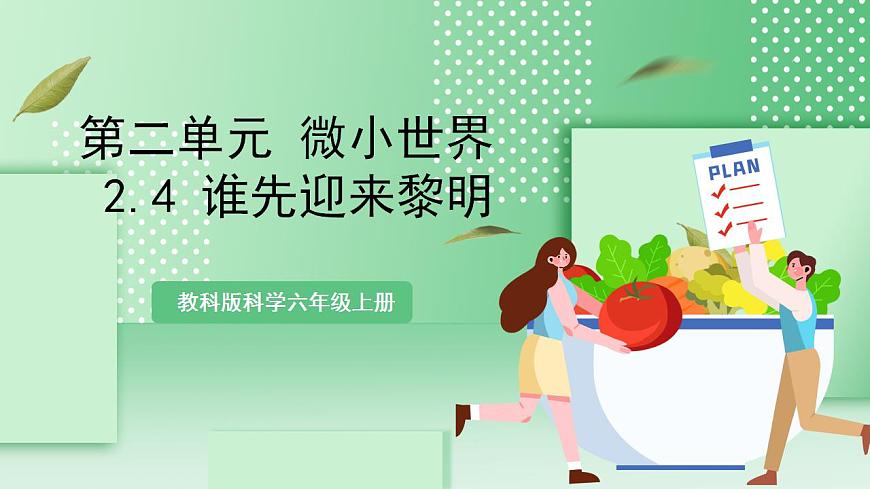 教科版科學(xué)六年級上冊2.4 《誰先迎來黎明》 課件第1頁