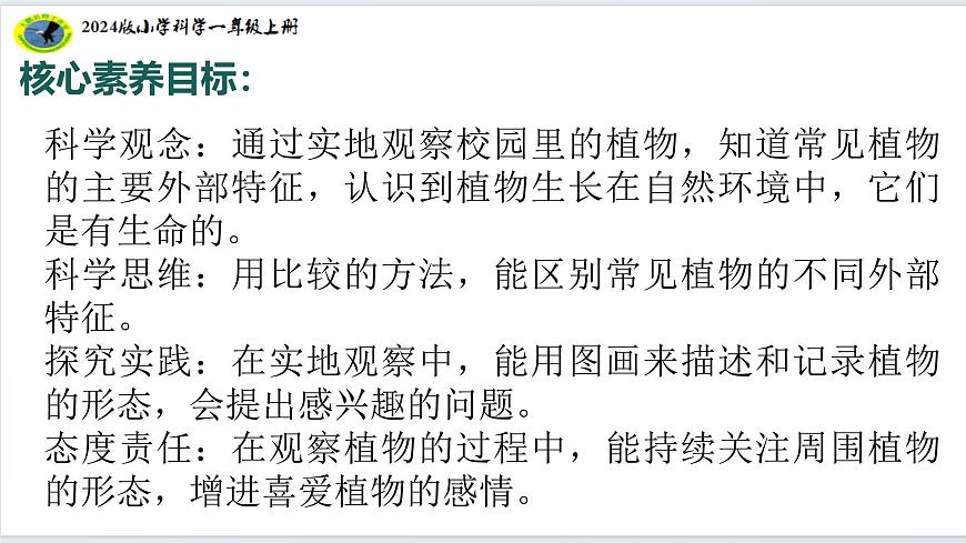 1.4給植物畫張像（33張ppt）第3頁