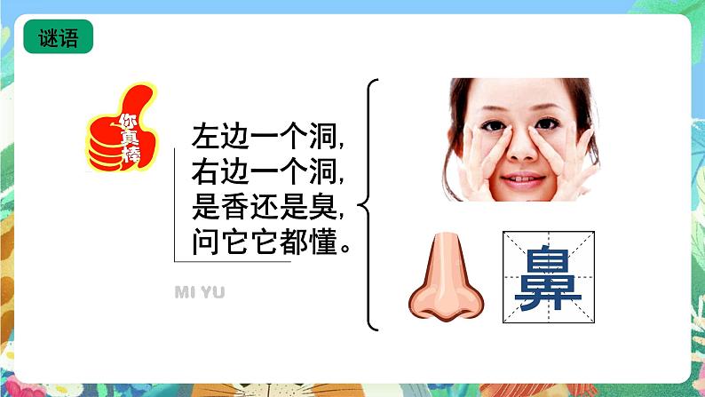 青岛版(五四制)科学一上 6《闻一闻 尝一尝》课件02