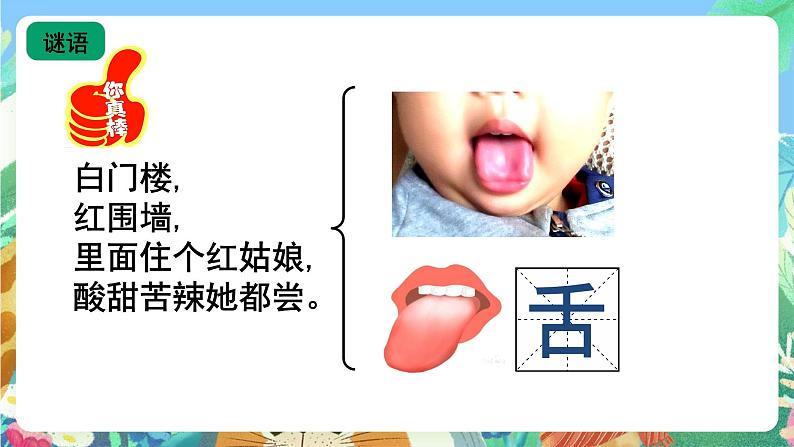 青岛版(五四制)科学一上 6《闻一闻 尝一尝》课件03