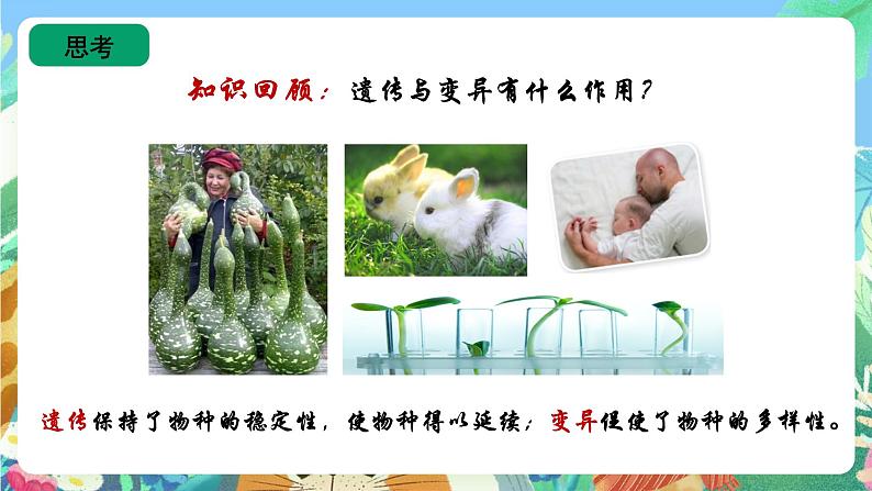 苏教版六上科学2.7《寻找遗传与变异的秘密》PPT课件04