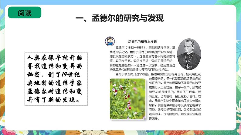 苏教版六上科学2.7《寻找遗传与变异的秘密》PPT课件06
