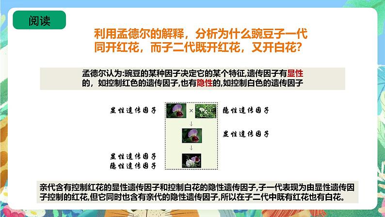 苏教版六上科学2.7《寻找遗传与变异的秘密》PPT课件08