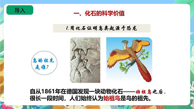 苏教版六上科学3.10《用化石作证据》PPT课件第3页