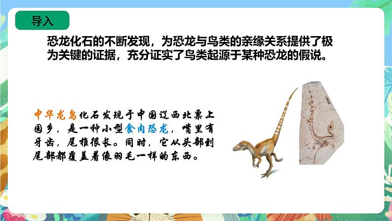 苏教版六上科学3.10《用化石作证据》PPT课件第6页