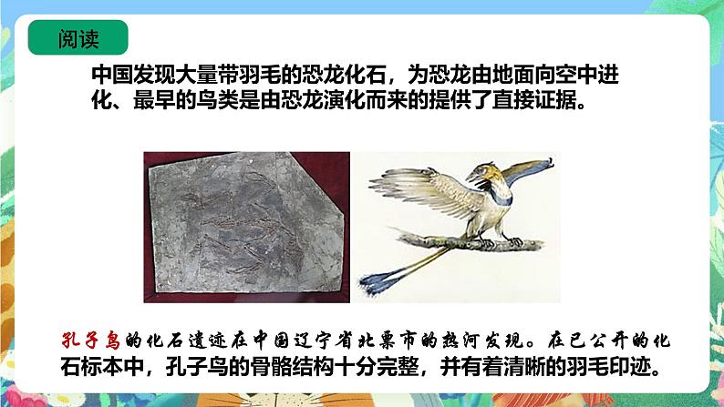 苏教版六上科学3.10《用化石作证据》PPT课件第7页