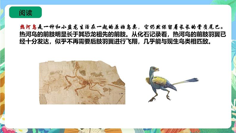 苏教版六上科学3.10《用化石作证据》PPT课件第8页
