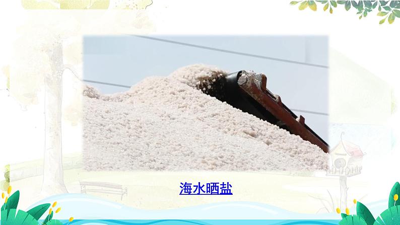 第7课 混合与分离第3页