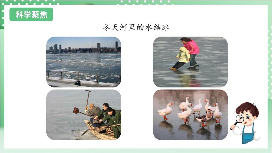 教科版科學(xué)三年級(jí)上冊(cè)1.8《 它們發(fā)生了什么變化》   教學(xué)課件第3頁(yè)
