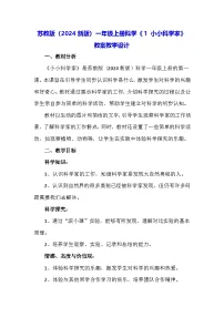 科学一年级上册（2024）1 小小科学家教案