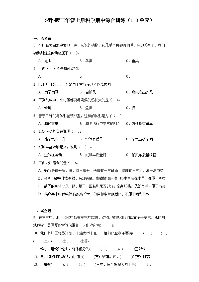 2024年秋湘科版三年级上册 科学期中综合训练（1-3单元）（含答案）