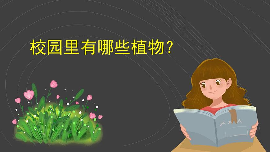 （2024）新教科版科學(xué)一年級上冊（1-6）校園里的植物PPT課件第4頁