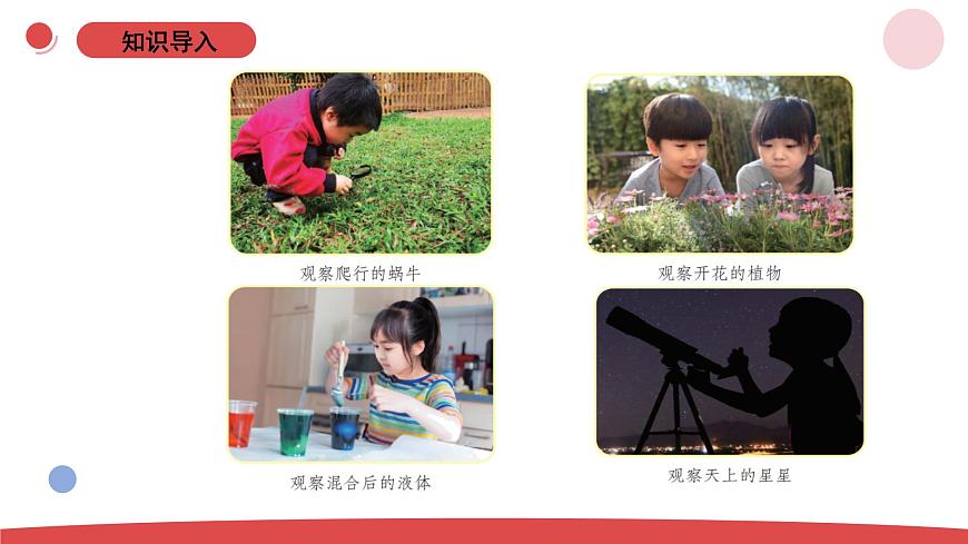 1.1《小小科學(xué)家 》（課件）-2024-2025學(xué)年一年級上冊科學(xué) 蘇教版（2024）第2頁