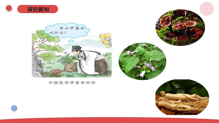 1.1《小小科學(xué)家 》（課件）-2024-2025學(xué)年一年級上冊科學(xué) 蘇教版（2024）第5頁