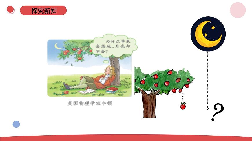 1.1《小小科學(xué)家 》（課件）-2024-2025學(xué)年一年級上冊科學(xué) 蘇教版（2024）第6頁